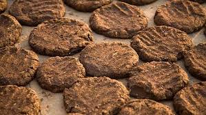 Cowdung Cakes