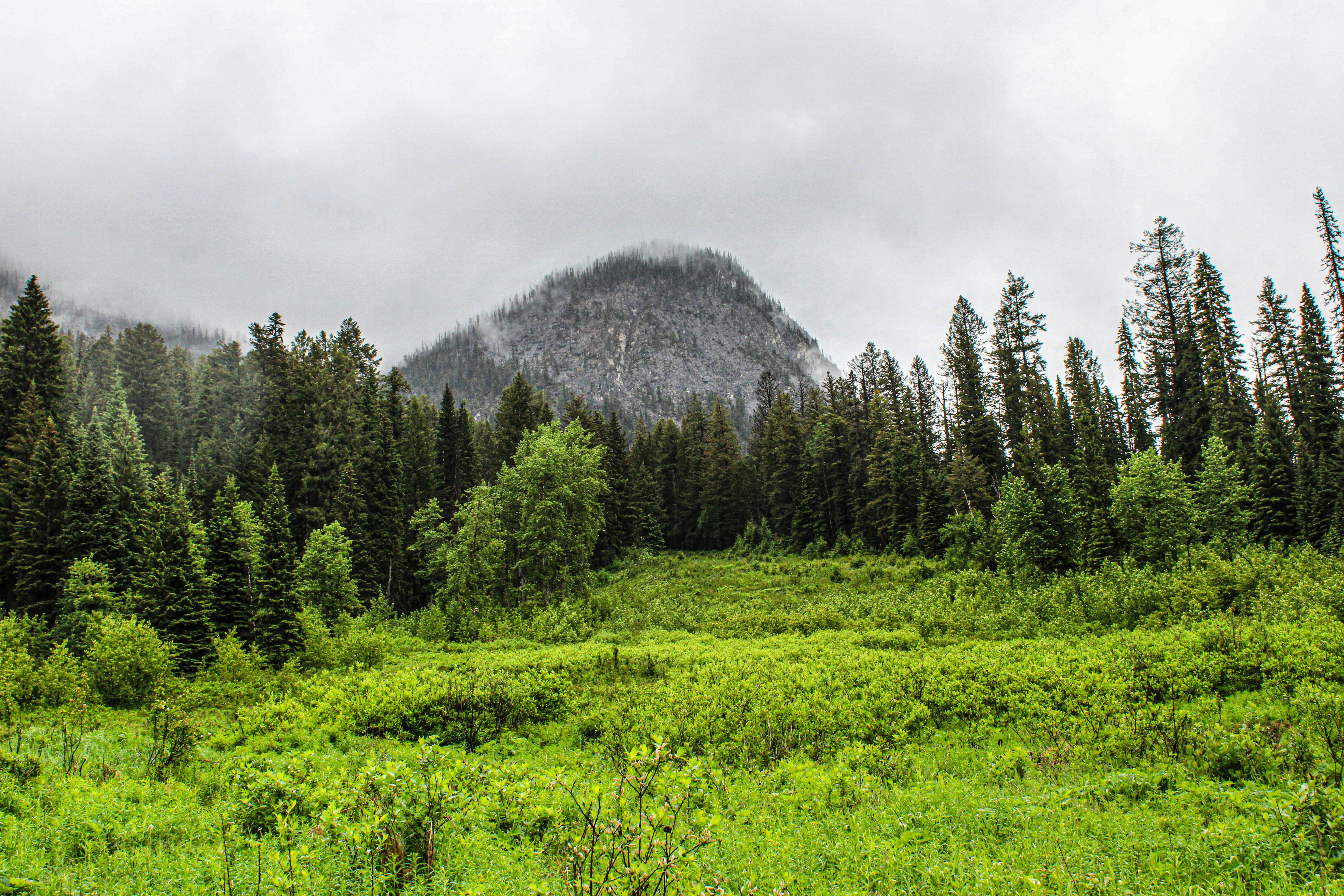 Lush Mountain Landscape