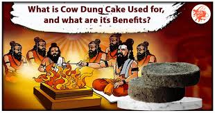 Cow Dung Cake in Plastic Packaging