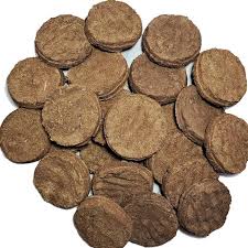 Cow Dung Cakes with Rose Petals