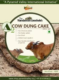 Cow Dung Cake Discs � Top View