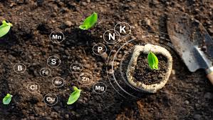 Bio Fertilizers & Compost