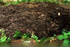 Dry Organic Manure Field