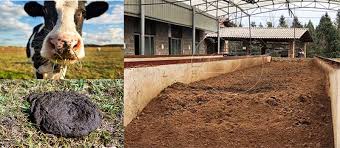 Soil with Tools