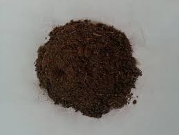 Hand Holding Fertilizer
